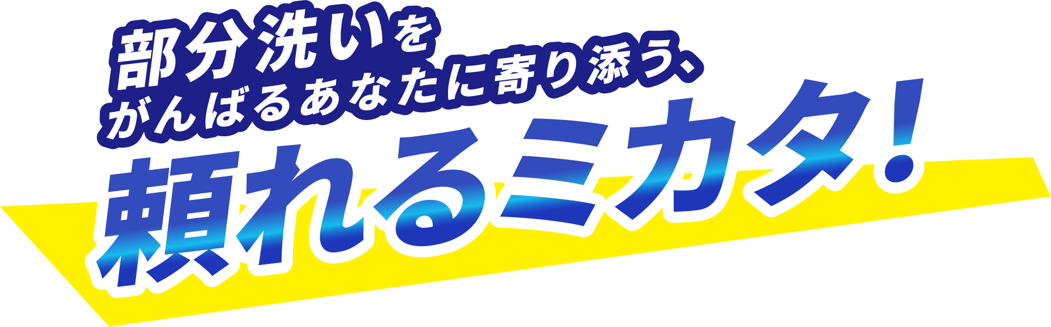 部分洗いをがんばるあなたに寄り添う、頼れるミカタ！