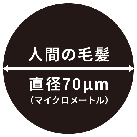 人間の毛髪　直径70マイクロメートル