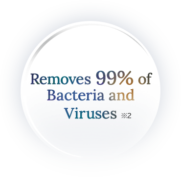 Removes 99% of bacteria and viruses