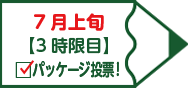 7月上旬 【3時限目】パッケージ投票