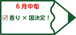 6月中旬 香り×国決定！