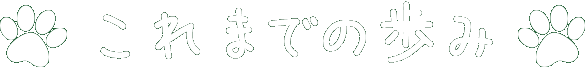 これまでの歩み