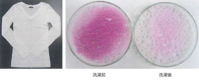 紫外線照射実験