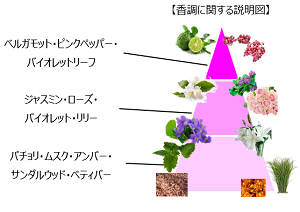 アムールリリース01